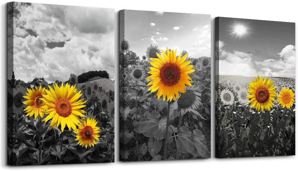 Canvas Wall Art – Family Wall Decor, Kitchen & Bedroom – Black & White Pastoral Scenery – Sunflower Flowers – 16×12, 3 Piece