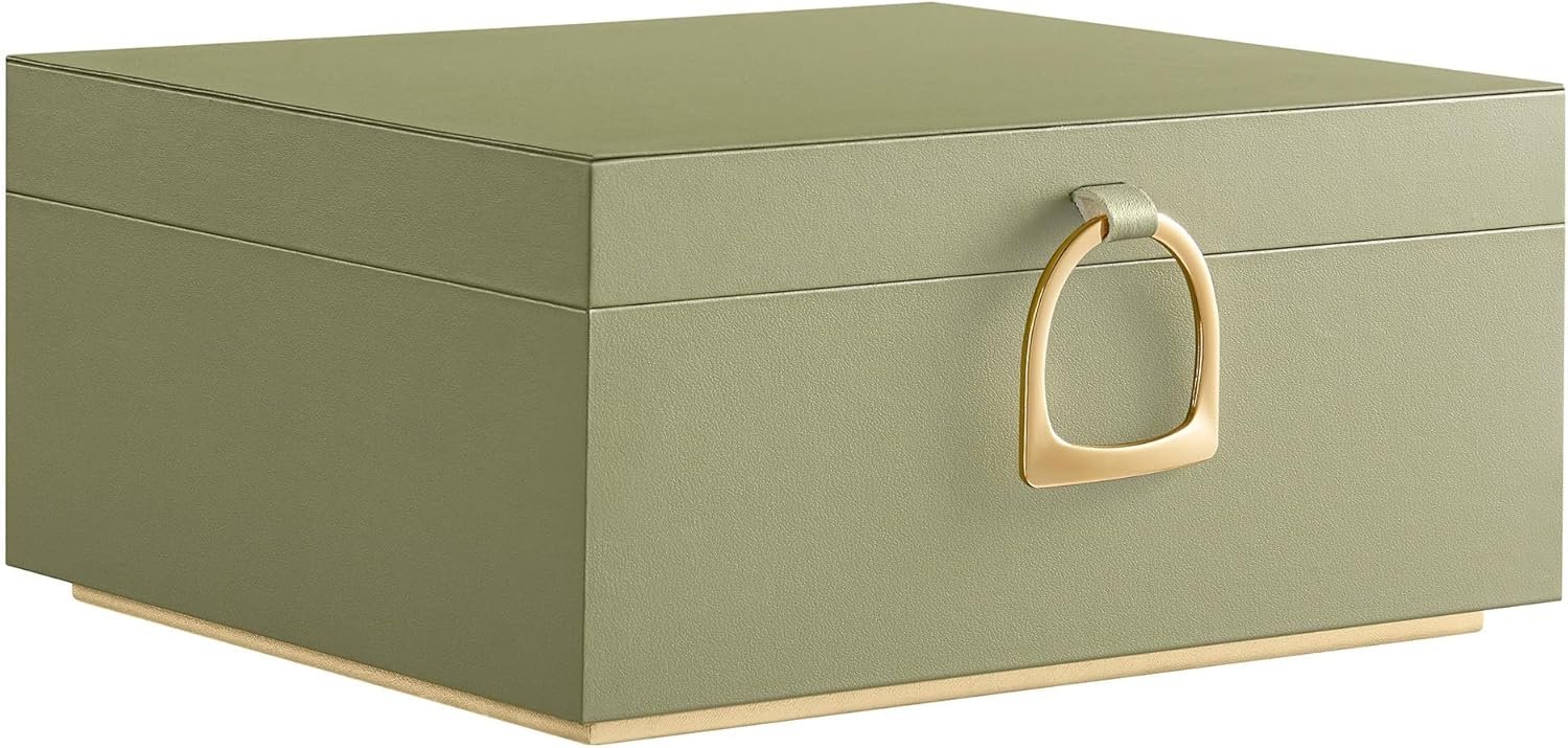SONGMICS 2-Layer Jewelry Box, Jewelry Organizer with Handle, Removable Jewelry Tray, Jewelry Storage, Floating Effect, 8.1 x 9.4 x 4.3 Inches, Gift Idea, Sage Green UJBC165C02