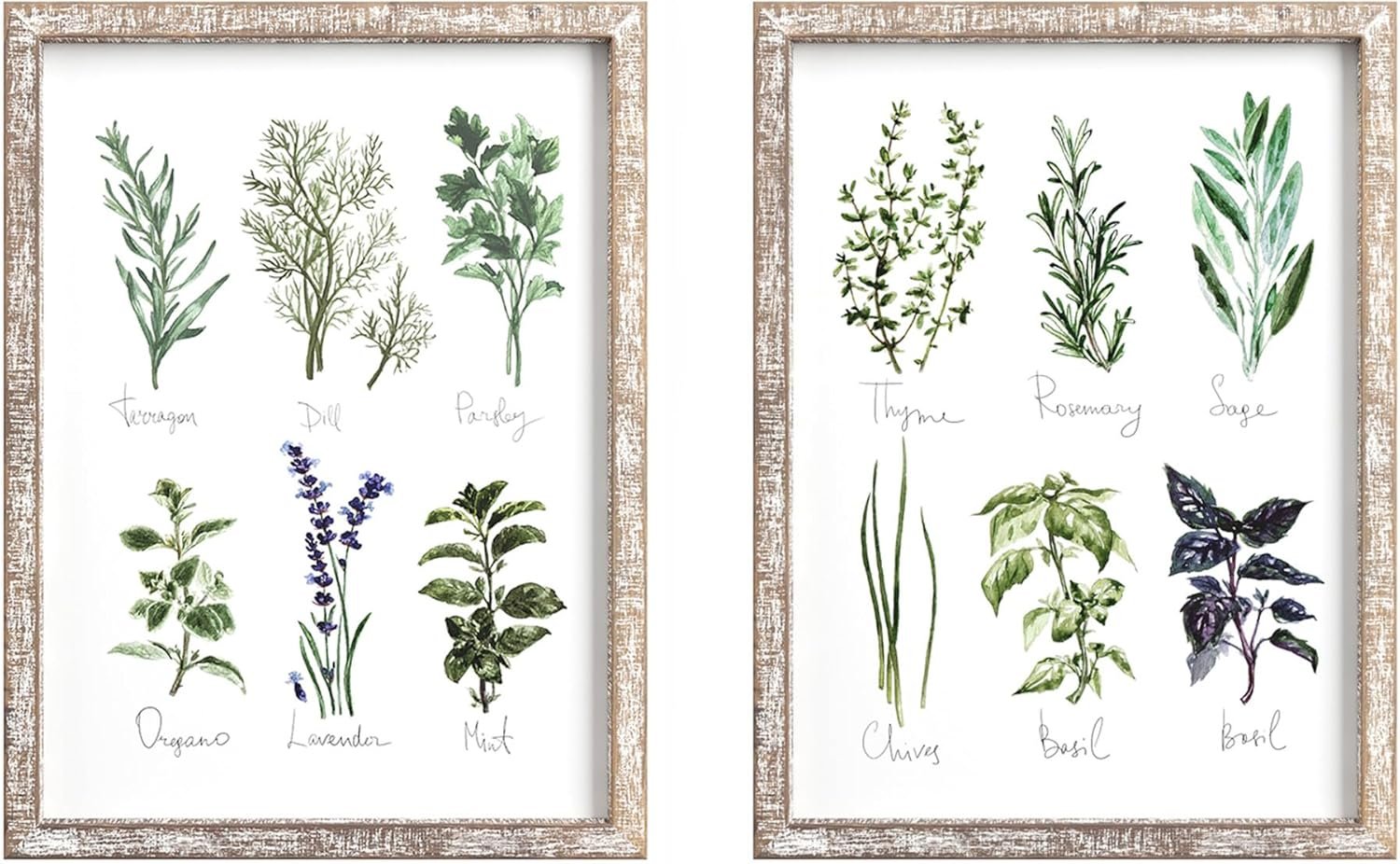 Barnyard Designs Kitchen Herbs and Spices Wall Art Decor Botanical Print Sign Rustic Country Farmhouse Wood Plaque Framed Home Wall Decor 12″ x 16″ (Herbs A & B, 2 Signs)