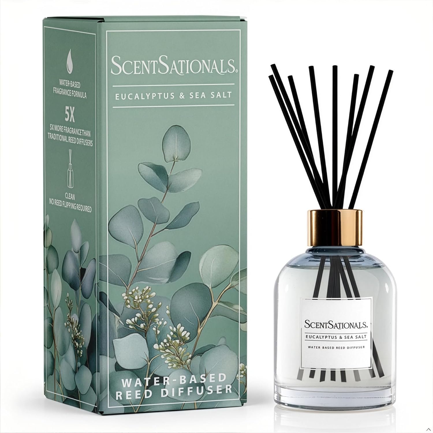 ScentSationals Water-Based Reed Diffuser – Eucalyptus & Sea Salt – 5 FL OZ Aromatherapy Reed Diffuser